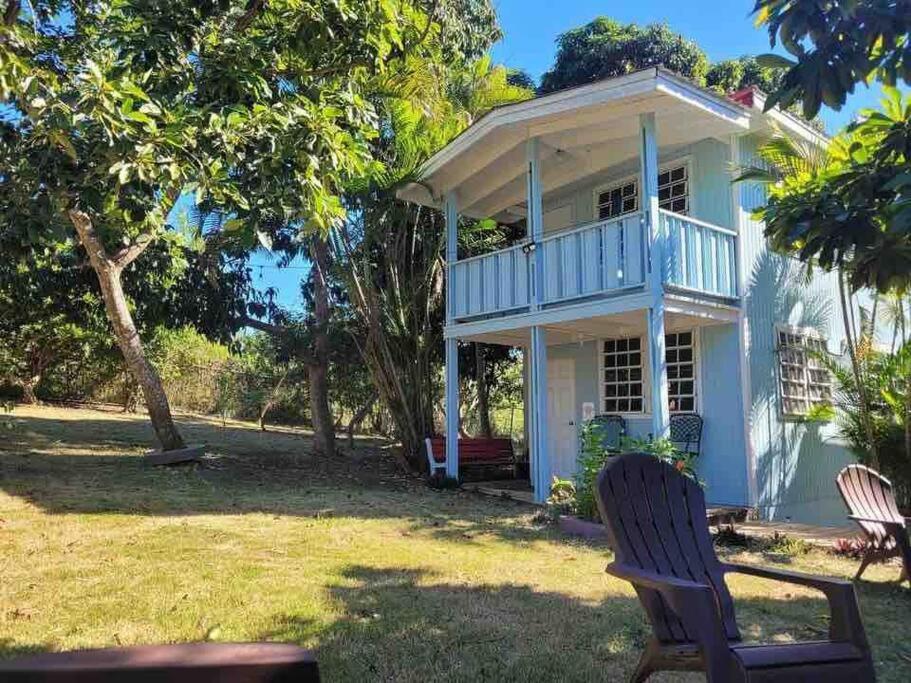Herbert'S Place Cabo Rojo Exterior photo